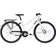 Nishiki 307 Dam Vit 2013 
