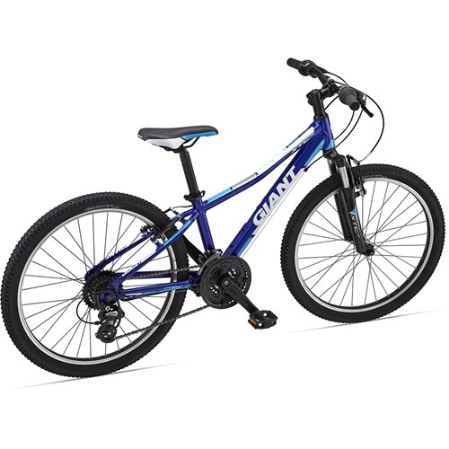 giant xtc jr 2 24 2018