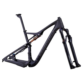 Specialized S-Works Epic FSR Carbon 29 Bara Ram (Frameset) Materialfärg/Askgrå