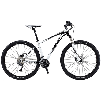 talon 29er 2 2019