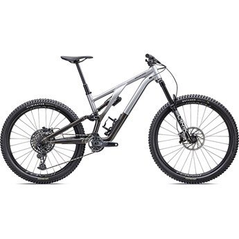 Specialized Stumpjumper Evo Elite Alloy Gloss Silver Dust/Black Tint