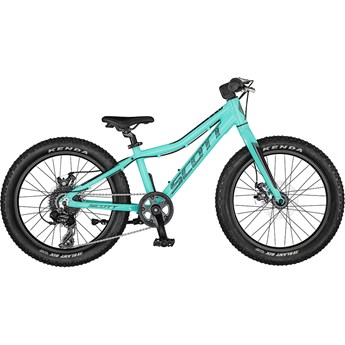 Scott Roxter 20 Teal Blue