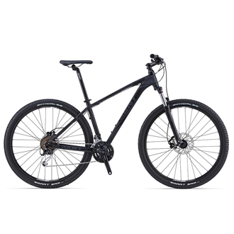 talon 29er 2 2019