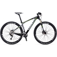 Giant XTC Composite 29ER 1 