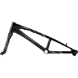 GT Speed Series Carbon Pro XL Frameset Raw Carbon/Gloss Black