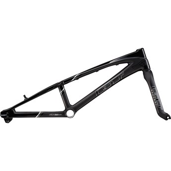 GT Speed Series Carbon Pro Frameset Raw Carbon/Gloss Black